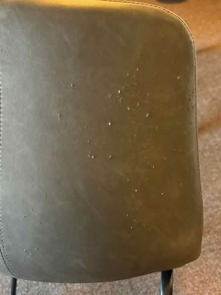 Photo of free 4 dining chairs (East Grand Rapids area) #2