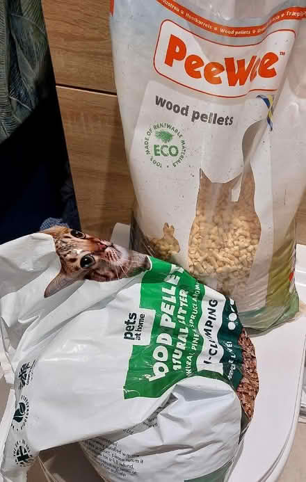 Photo of free 2 partially full bags of wood pellet cat litter (Ladywell SE4) #1