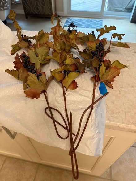 Photo of free 2 Fall Foliage Decor branches items (Westmont near Cass and ogden) #2