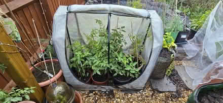 Photo of Growhouse (Bishops Tachbrook CV34) #2
