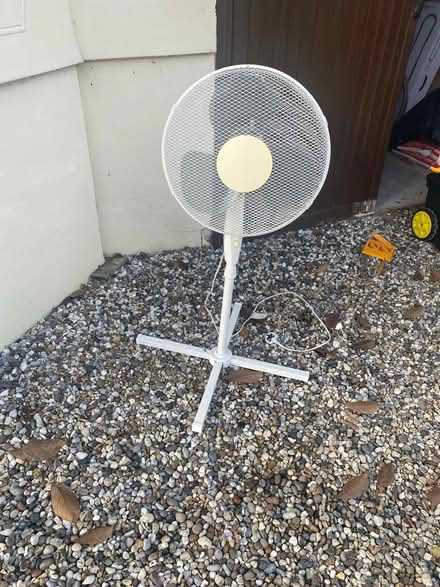 Photo of free Fan (Billericay) #1