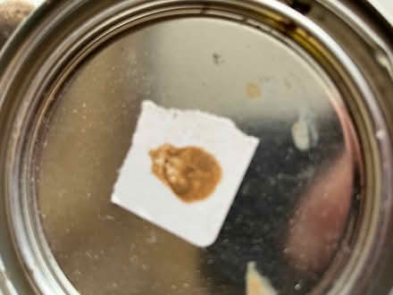 Photo of free Quart Can of Exterior Stain (Findlay Creek) #2