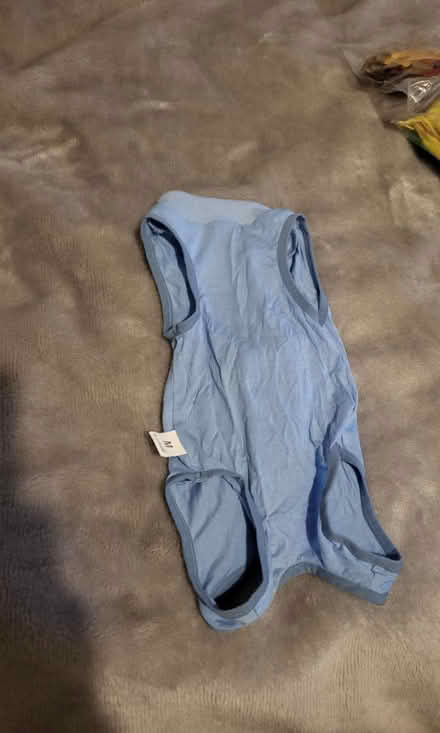 Photo of free Cat body suit (Leicester LE2) #1