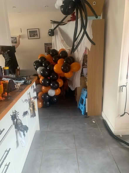 Photo of free Halloween ballon arch and spiders. (Hillingdon UB10) #4