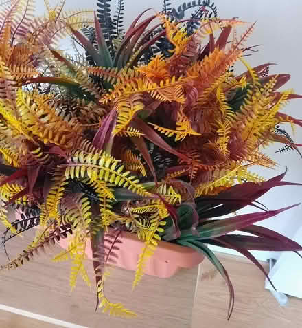 Photo of free 2 artificial plant arrangements (Stirling FK8) #2