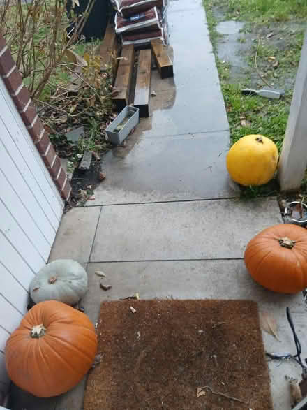 Photo of free Pumpkins (Canford Heath, BH17 8) #1