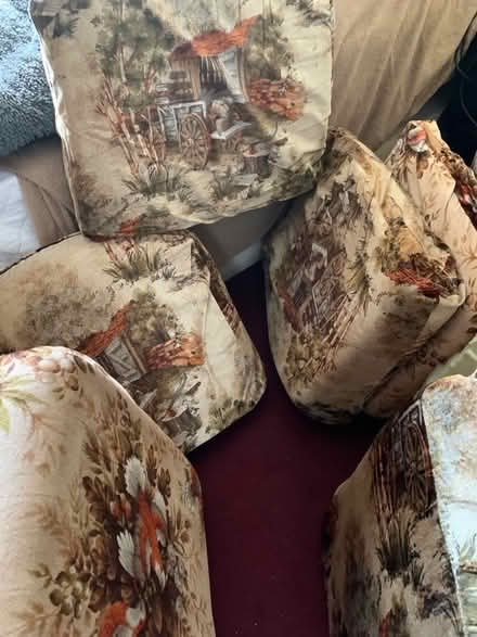 Photo of free Various foam cushions (Pendeen TR19) #1