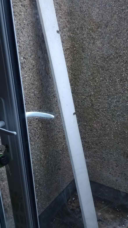 Photo of free Skirting boards (Okus SN1) #2