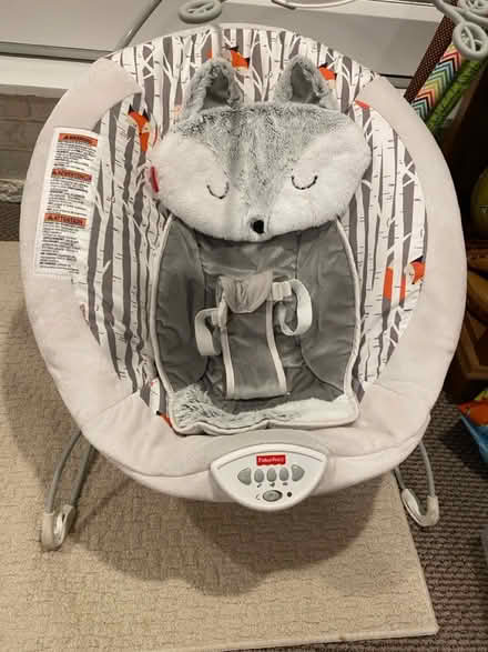Photo of free Fisher Price Bouncer (Clarendon) #1