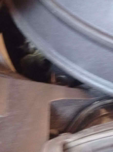 Photo of free Dyson Animal Vacuum Cleaner (Greaves LA1) #3