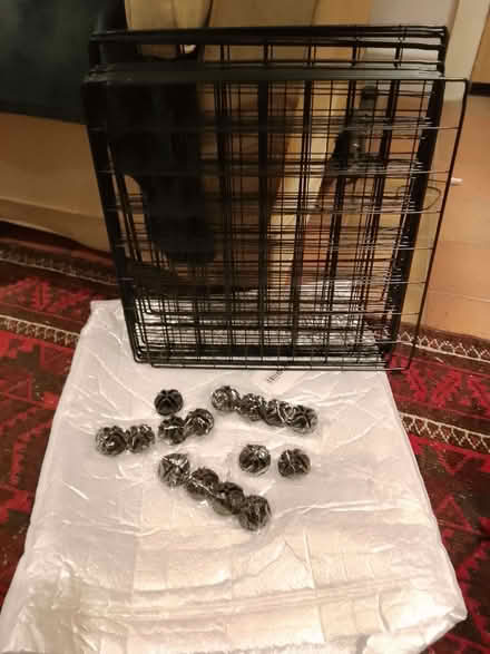 Photo of free DIY puppy pen (North Ascot SL5) #1