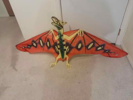 Photo of free Dragon and dinosaur kites (Wallingford) #2