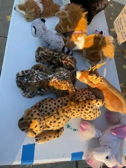Photo of free Clean well-kept stuffed animals (Frederick, MD) #3