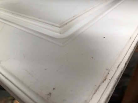 Photo of free Cabinet doors (Browns Line/Lakeshore) #3