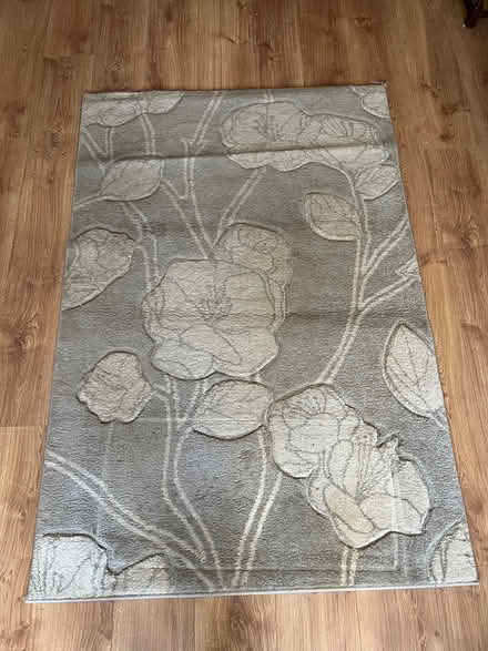 Photo of free Rug (Morden SM4) #1