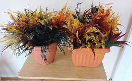 Photo of free 2 artificial plant arrangements (Stirling FK8) #1