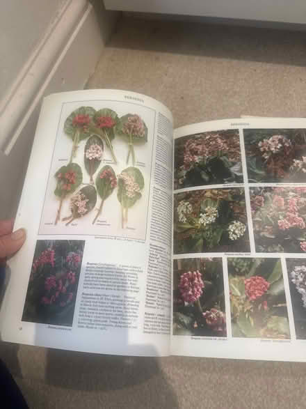 Photo of free Gardening books (Hanworth Park, TW13) #2