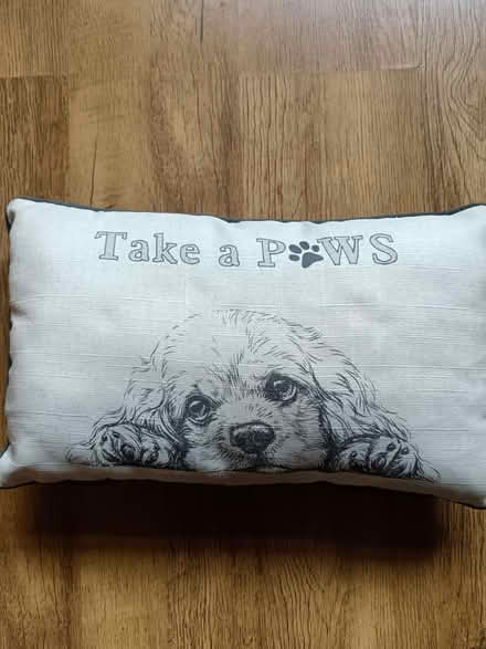 Photo of free Cushion (Pencoed CF35) #3