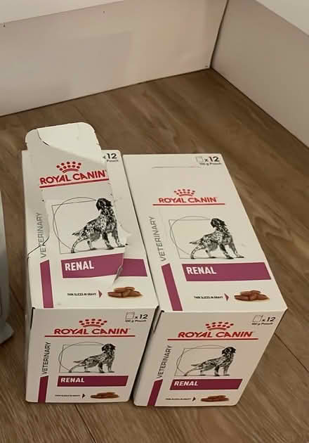 Photo of free Renal dog food (St Werburghs BS2) #1