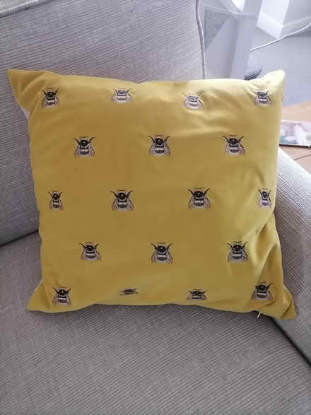 Photo of free Bee cushion (Bradford on Avon BA15) #1