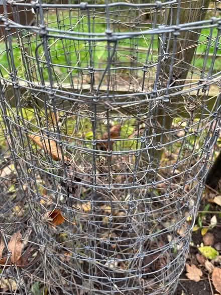Photo of free Shortish lengths of sheep netting (Milford Belper) #1