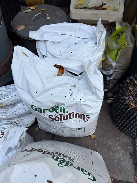 Photo of free 2 x 50l Ericaceous Soil (Edinburgh, Broughton, EH3) #2