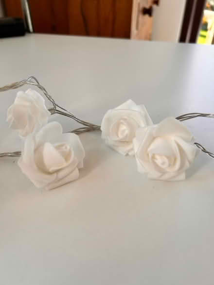 Photo of free Indoor lights (Brentwood CM14) #2