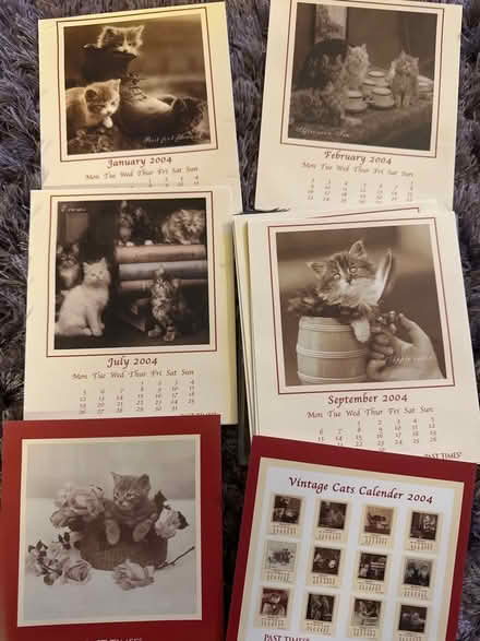 Photo of free Vintage cats calendar 2004 (Ashford TW15) #1