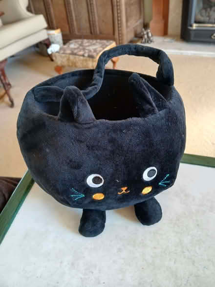 Photo of free Cat trick or treat cauldron (Minster Lovell OX29) #1