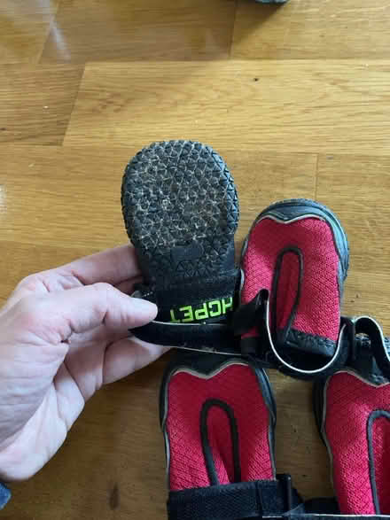 Photo of free Dog neoprene booties (Tolworth) #2