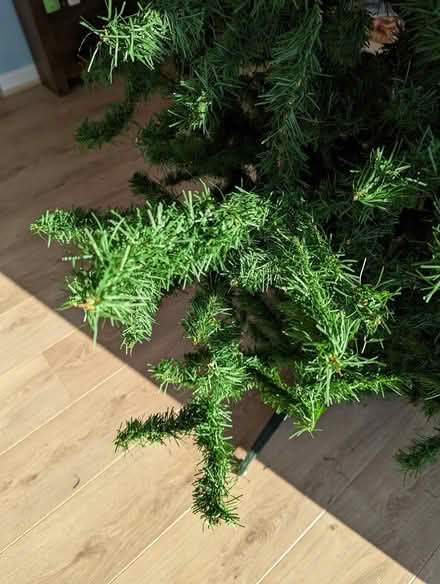 Photo of free Christmas tree (NR28) #2