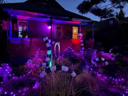 Photo of free Beetlejuice sand snake decorations (Montavilla) #3