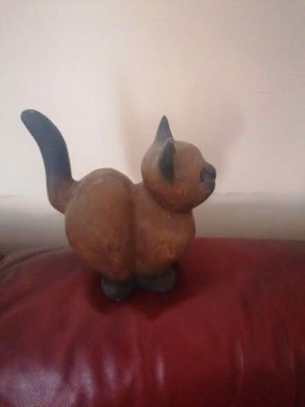 Photo of free Cat (Parkstone BH14) #4