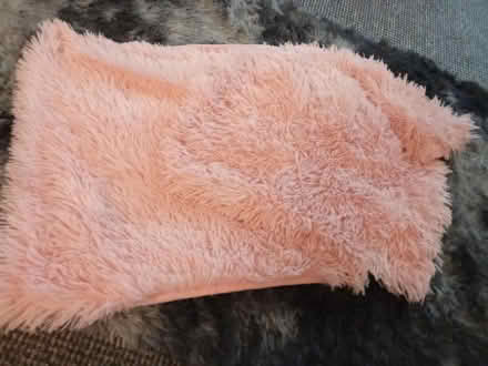 Photo of free Cushion covers (Willesborough) #1