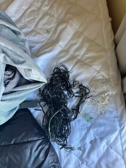 Photo of free 2 fairy lights (Canning Town E16) #1