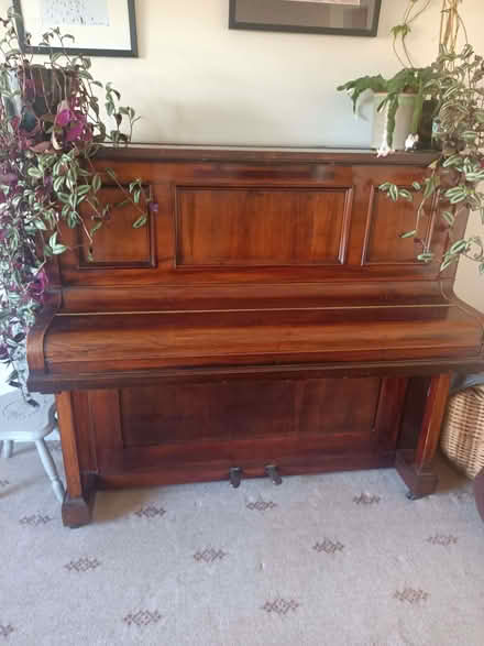 Photo of free Piano (Saltaire BD18) #4