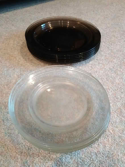 Photo of free Glass plates (Bloomfield) #1