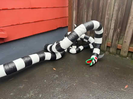 Photo of free Beetlejuice sand snake decorations (Montavilla) #1