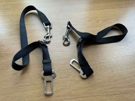 Photo of free 2 dog restraints for car (Holbrook, Belper, DE56) #1