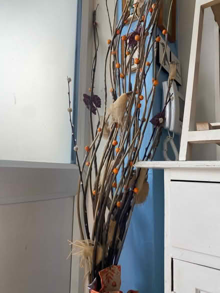 Photo of free Autumn 🍂 Branches (Cheshunt En8) #2