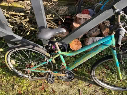Photo of free Girls bicycle (Castlereagh) #1