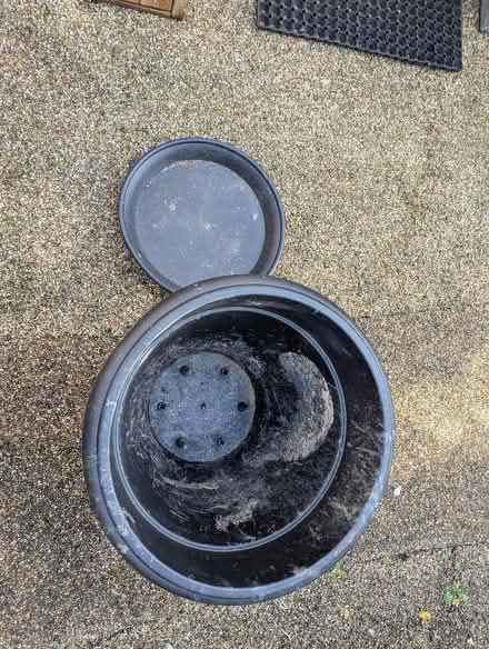 Photo of free Large plastic pot (Downes Head EX17) #1