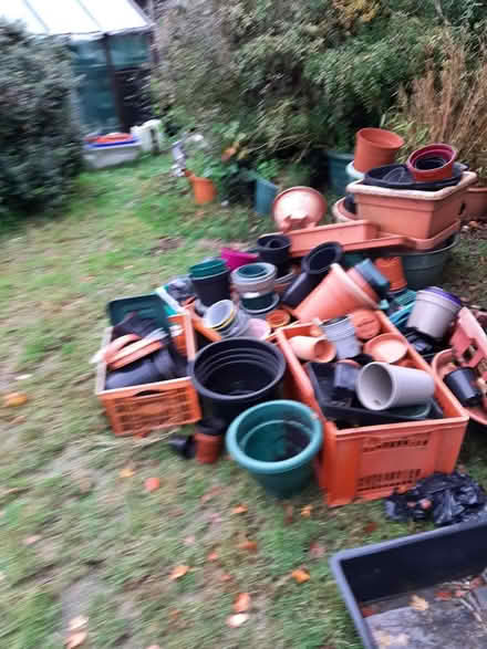 Photo of free Large collection of plant pots (Bexhill TN39) #1