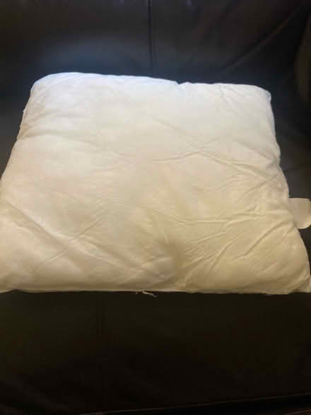 Photo of free 2 Cushion pad (Ryecroft WS2) #1