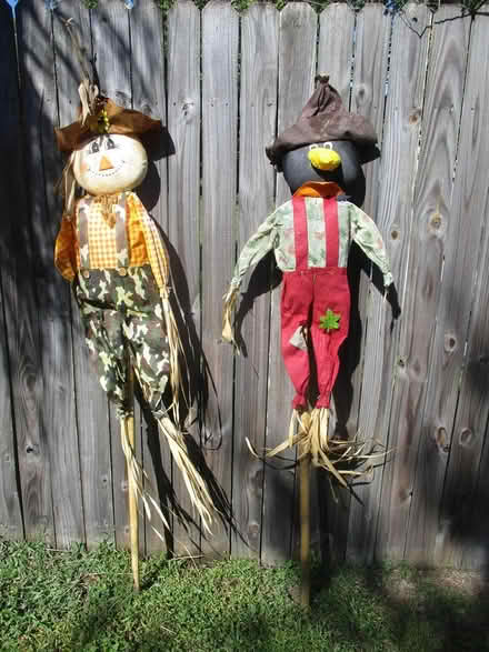 Photo of free 2 scarecrow halloween decorations (casselberry) #1