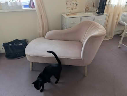 Photo of free Chaise Lounge (CT9) #3