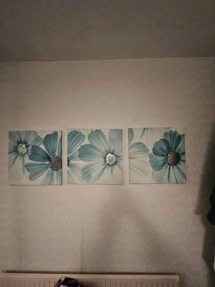 Photo of free 3 canvas pictures (Ashton in Makerfield WN4) #1