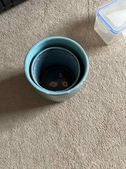 Photo of free Plant pots (Twickenham Centre) #1