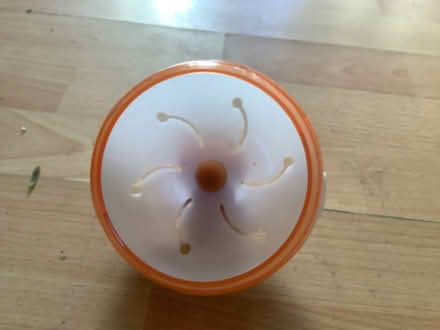 Photo of free Hamster items. (Brampton S40) #2