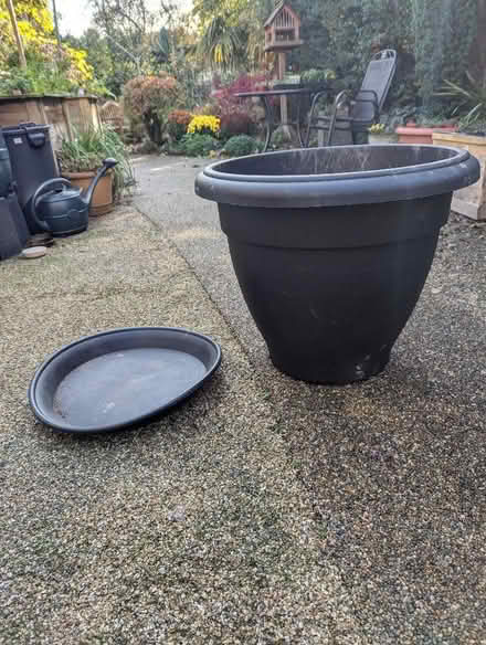 Photo of free Large plastic pot (Downes Head EX17) #2